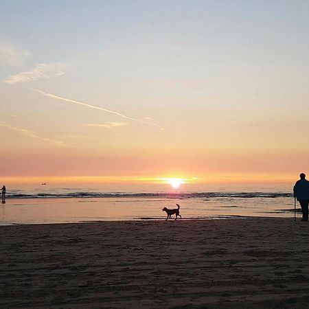 2 Bedroom Pet Friendly Home In Egmond Aan Zee Exterior photo