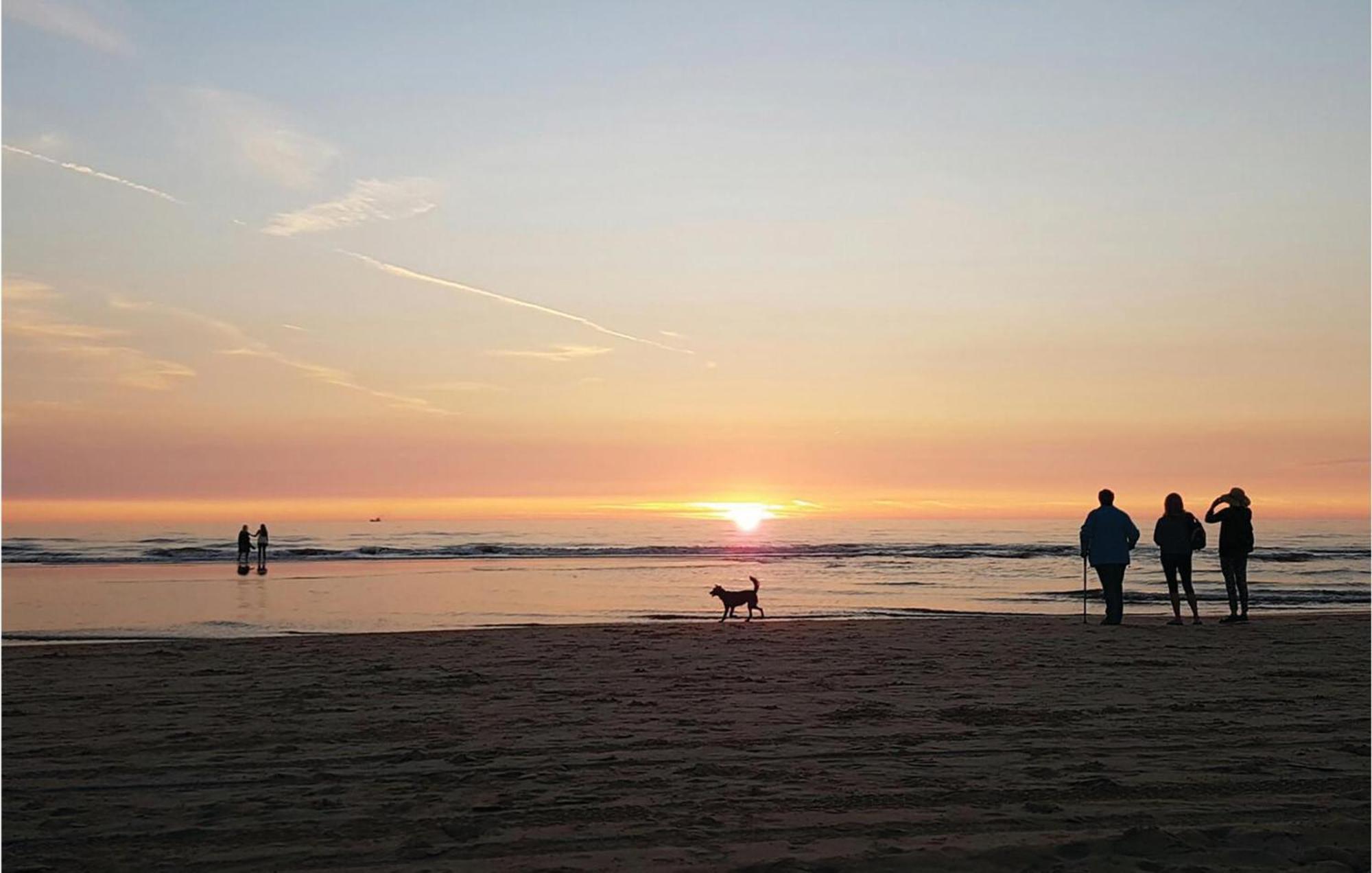 2 Bedroom Pet Friendly Home In Egmond Aan Zee Exterior photo